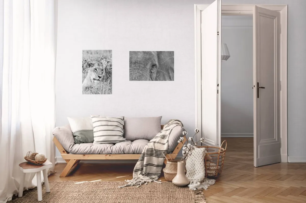 40x60